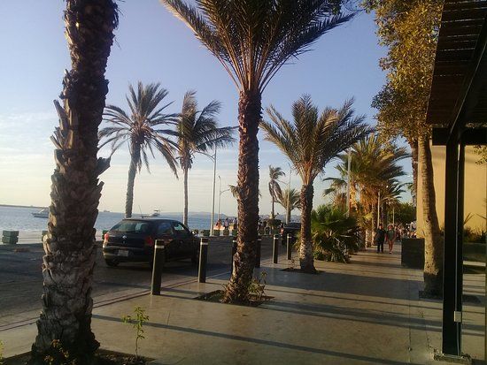 Casa Del Artesano Sudcaliforniano